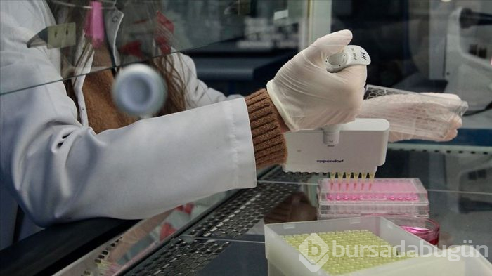 Koronavirüs aşısı için büyük adım! 