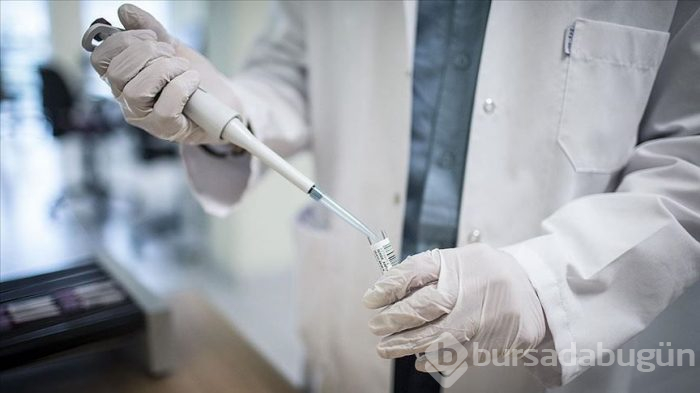 Koronavirüs aşısı için büyük adım! 
