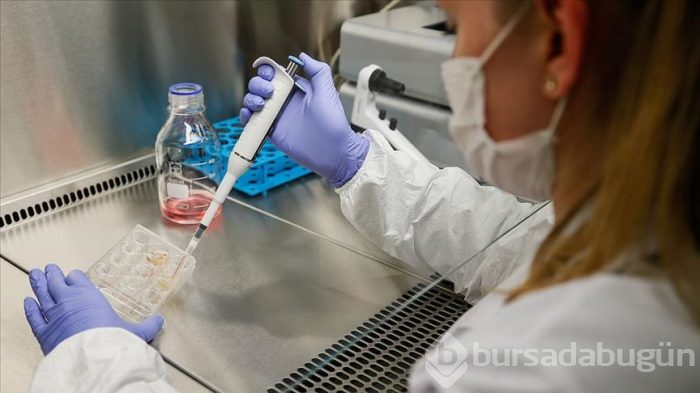Koronavirüs aşısı için büyük adım! 