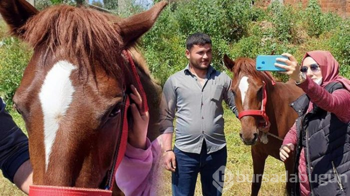 At üstünde kuş motifi...