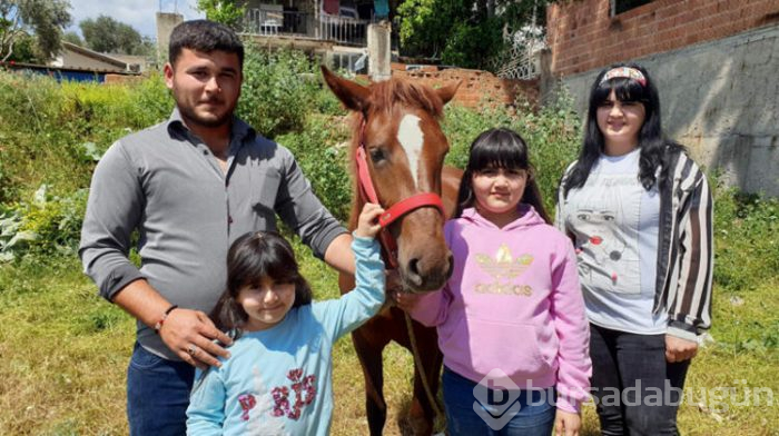 At üstünde kuş motifi...