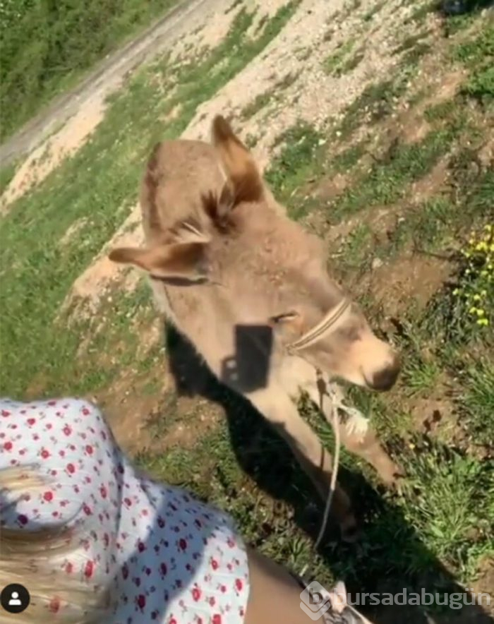 Aleyna Tilki yasağı deldi mi?