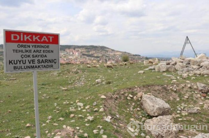 Koyun sürüsü antik kentte