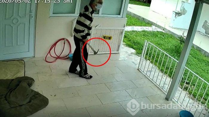Kediye keser attı! 