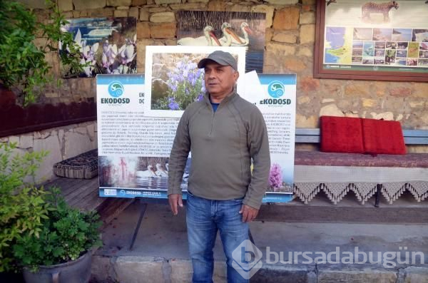 Bu çiçeği koparan 73 bin 747 lira ceza ödüyor