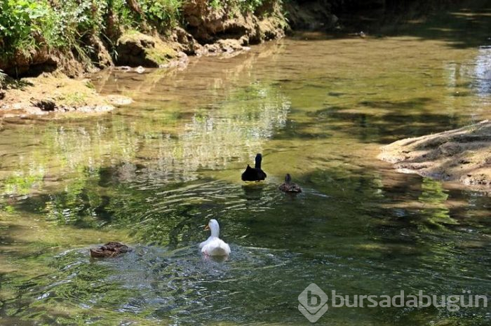 Koronavirüs sonrası dünyaca ünlü şelale kendini yeniledi!