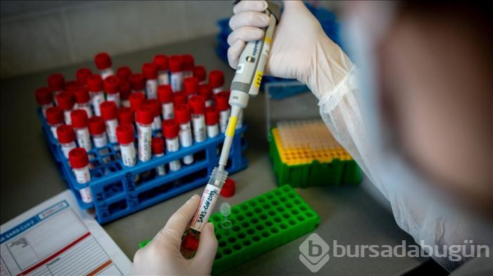 Sağlık Bakanlığı tarafından 150 bin kişiye bağışıklık testi uygulanacak 