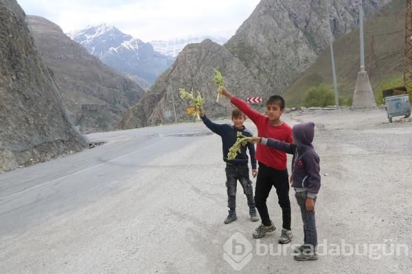 Hakkari'de 'yayla muzu' toplayan çocuklar, gazetecileri polis zannedip kaçtı