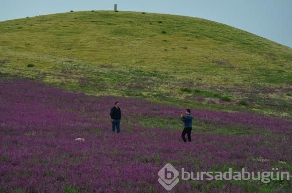 Ballıbaba görsel bir şölen sundu