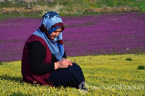 Ballıbaba görsel bir şölen sundu