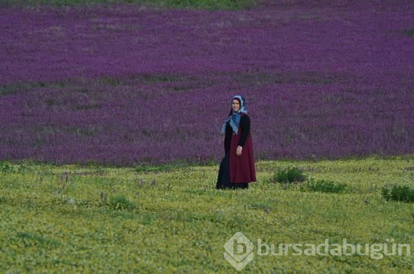 Ballıbaba görsel bir şölen sundu