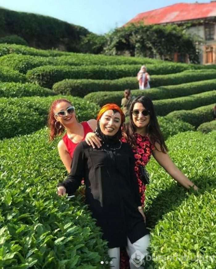 Çay hasadının yol haritası belli oldu