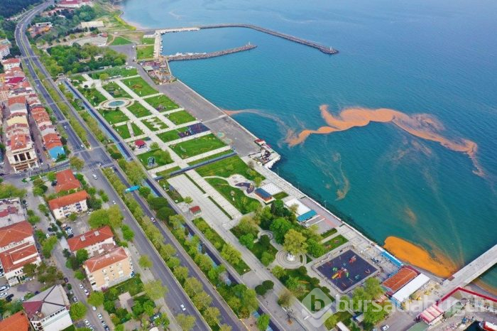 Marmara Denizi görenleri hayrete düşürdü! Turuncuya boyandı