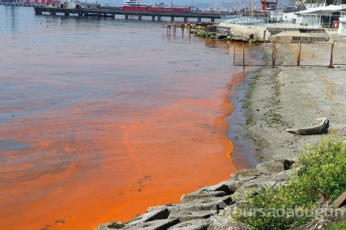 Marmara Denizi görenleri hayrete düşürdü! Turuncuya boyandı