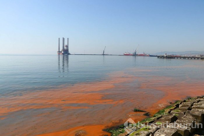 Marmara Denizi görenleri hayrete düşürdü! Turuncuya boyandı