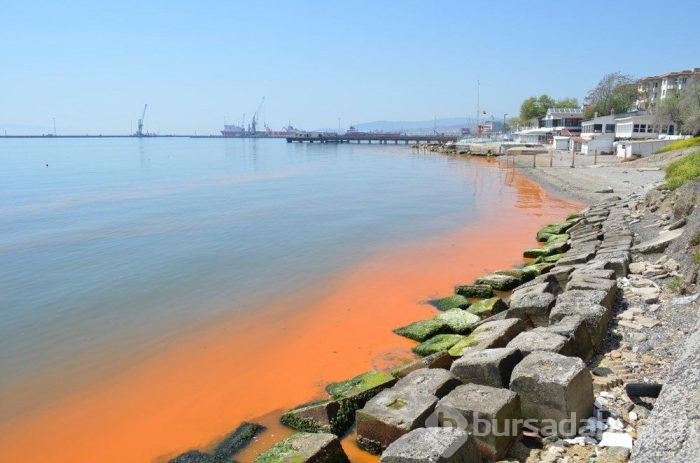 Marmara Denizi görenleri hayrete düşürdü! Turuncuya boyandı