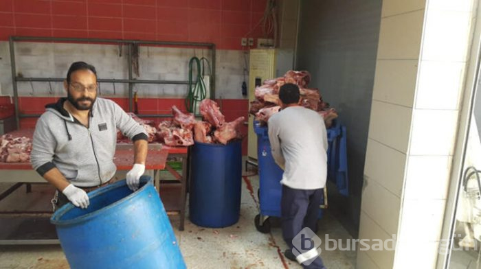 Tam 1,5 ton kaçak kelle paça ele geçirildi