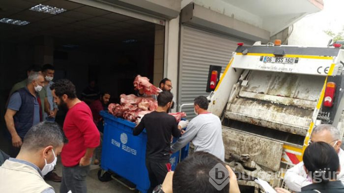 Tam 1,5 ton kaçak kelle paça ele geçirildi