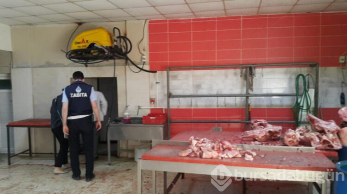 Tam 1,5 ton kaçak kelle paça ele geçirildi