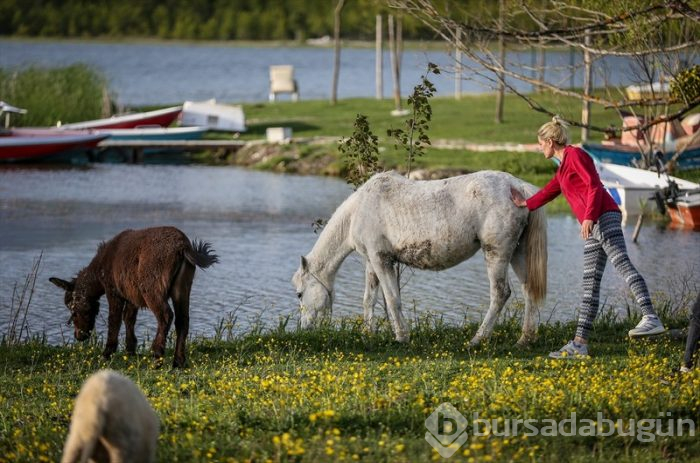 Bursa'da salgın sürecinde tatil yapmak isteyenlerin 'bungalov' ilgisi	