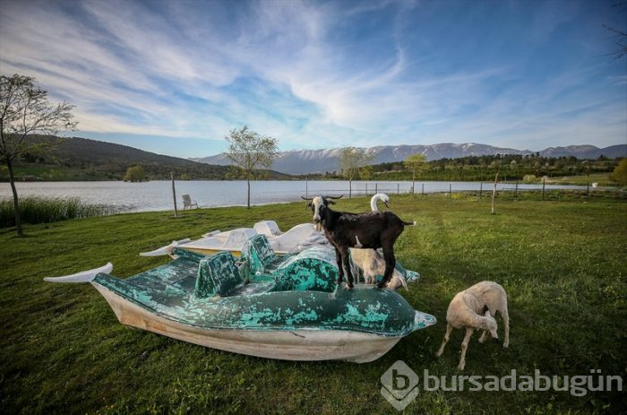 Bursa'da salgın sürecinde tatil yapmak isteyenlerin 'bungalov' ilgisi	