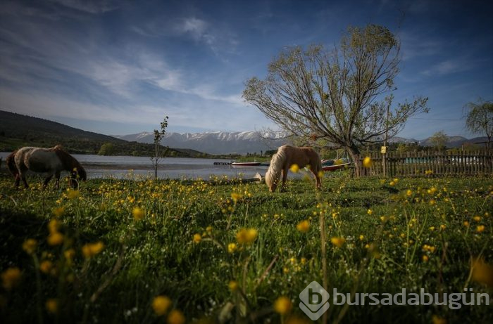 Bursa'da salgın sürecinde tatil yapmak isteyenlerin 'bungalov' ilgisi	