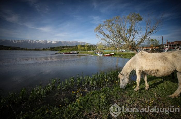 Bursa'da salgın sürecinde tatil yapmak isteyenlerin 'bungalov' ilgisi	