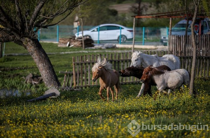 Bursa'da salgın sürecinde tatil yapmak isteyenlerin 'bungalov' ilgisi	