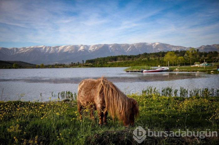 Bursa'da salgın sürecinde tatil yapmak isteyenlerin 'bungalov' ilgisi	