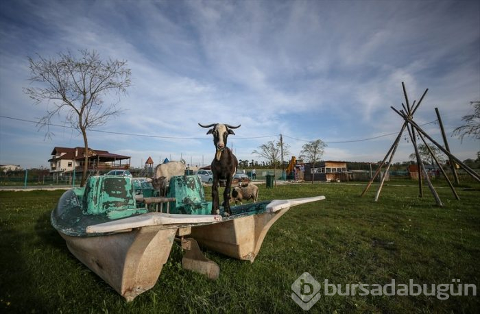 Bursa'da salgın sürecinde tatil yapmak isteyenlerin 'bungalov' ilgisi	