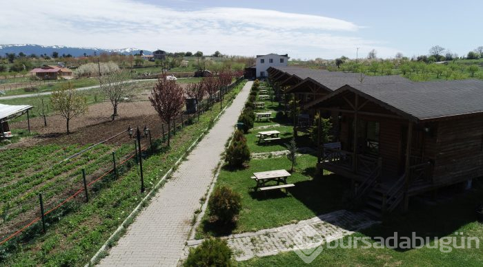 Bursa'da salgın sürecinde tatil yapmak isteyenlerin 'bungalov' ilgisi	