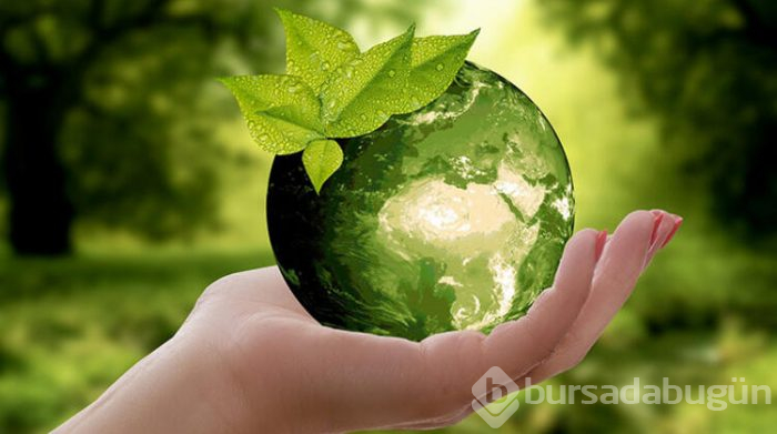 Plastik kullanımını nasıl azaltırız?