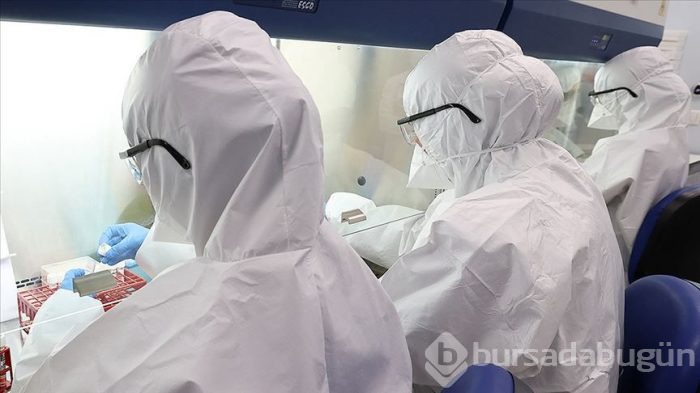 Dünya Türk tipi tedaviyi örnek alacak