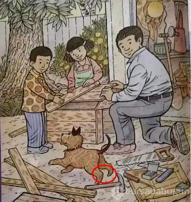 Daha önce başaran olmadı! 