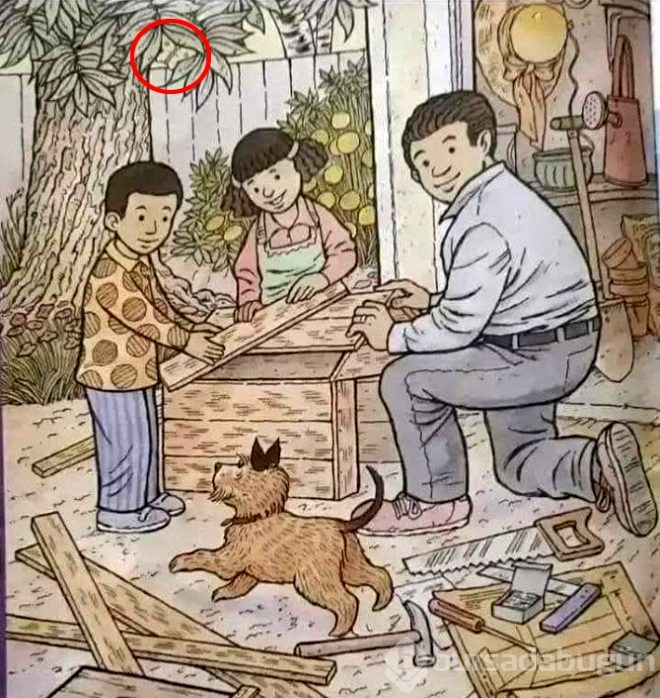 Daha önce başaran olmadı! 