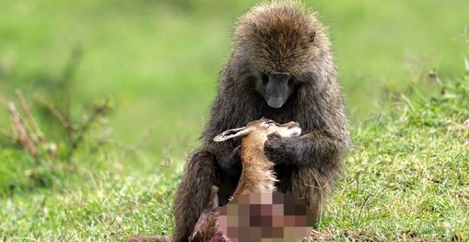 Fotoğrafçının donup kaldığı an! 