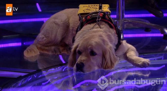 Köpeği ile Milyoner'e katılan görme engelli yarışmacı programa damga vurdu