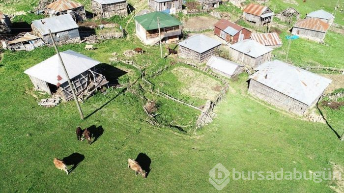 Gölyanı Yaylası 'kesin korunacak hassas alan' oldu