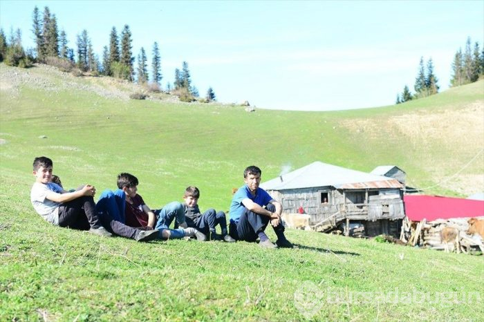 Gölyanı Yaylası 'kesin korunacak hassas alan' oldu