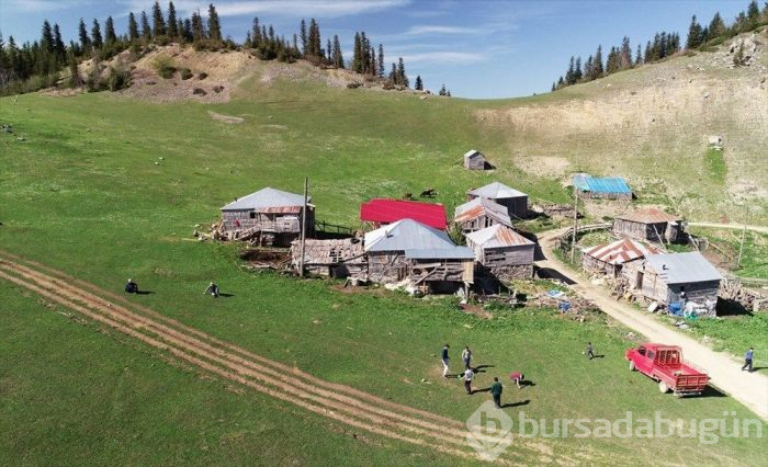Gölyanı Yaylası 'kesin korunacak hassas alan' oldu