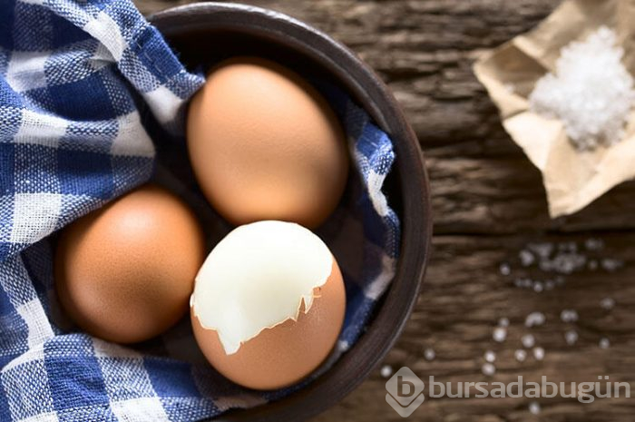 Yumurtanın üzerindeki osayılar ne anlama geliyor?