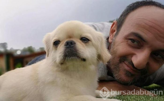 Ersin Korkut yeni köpeğine isim arıyor