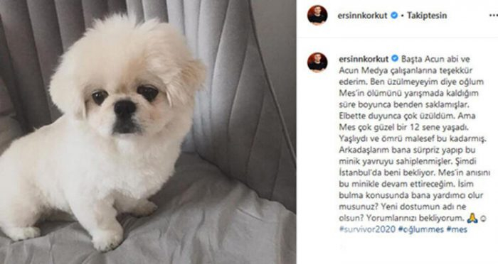 Ersin Korkut yeni köpeğine isim arıyor