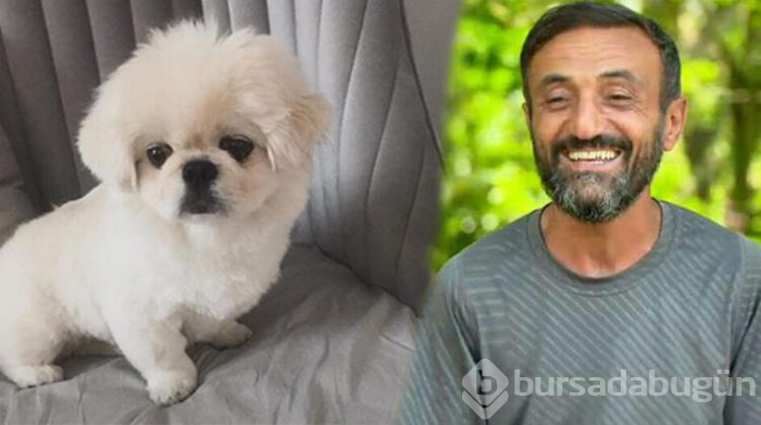 Ersin Korkut yeni köpeğine isim arıyor