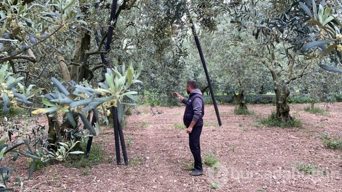 İznik'te tarladan 2200 yıllık sikke çıktı