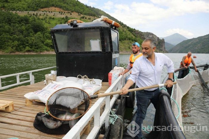Somon siparişlerine yetişemiyorlar