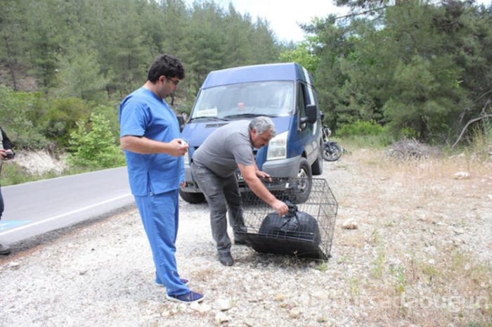 Köpeği huysuzlanınca fark etti!