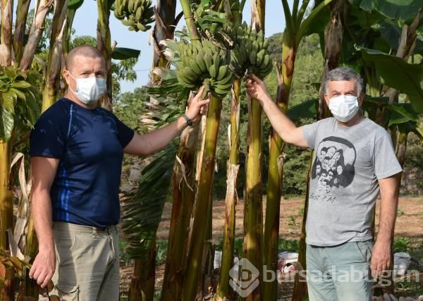 Yerel tohum için seferberlik başladı