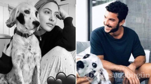 Hadise'den Kaan Yıldırım'a: Yüzünü değil, sesini göresim geldi
