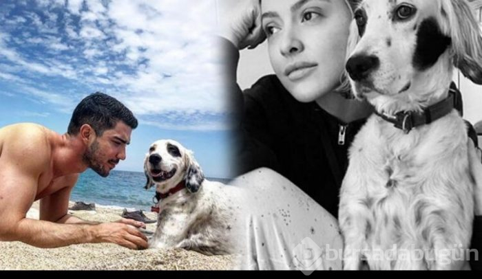 Hadise'den Kaan Yıldırım'a: Yüzünü değil, sesini göresim geldi

